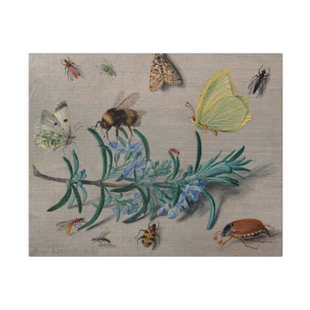 Insects and a Sprig of Rosemary, 1653, Jan van Kessel the Elder