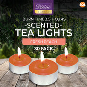 30Pk Scented Tea Lights Candles | Various Perfumes 4 Hour Burn Night T Tealights