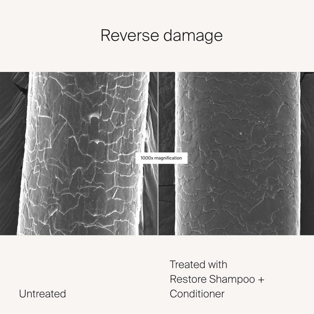 Living Proof Restore Shampoo & Conditioner | Reverses Damage | Softer, Smoother & Healthier Hair | Silicone Free | Paraben Free | Vegan