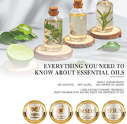 Vanilla Essential Oils 30ML, Vanilla Oil for Diffuser, Humidifier, DIY, Home, Wardrobes