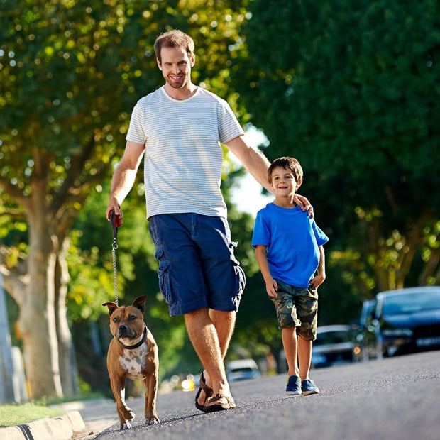 1PCS 1.2M Metal Chain Dog Lead Pet Puppy Leash Long Heavy Duty Anti-Chew Control