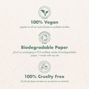 Daily Defined Eye Brush Kit + Storage Tray, Eco-Friendly Makeup Brushes for Liquid, Powder, & Cream Eyeshadow & Eyeliner Application, Synthetic Hair, Vegan and Cruelty Free, 5 Piece Set