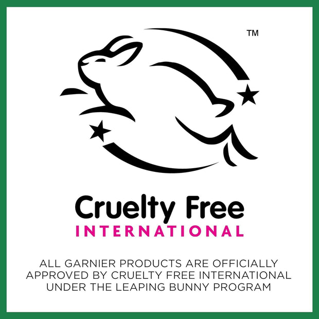 Garnier Skinactive Micellar Cleansing Water, 700Ml